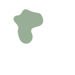 00100767-placeholder-1770005135