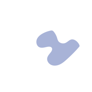 03103904-placeholder-1770032942