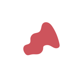 C44fce0b-placeholder-1770039496