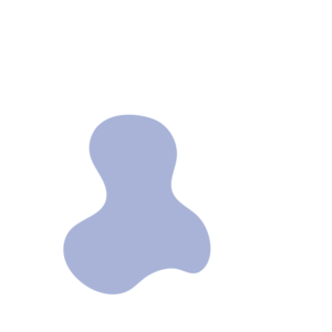 2fa90ab0-placeholder-1770006816