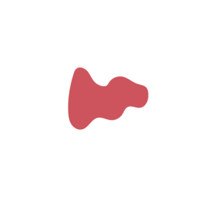 E1f552a1-placeholder-1770031307