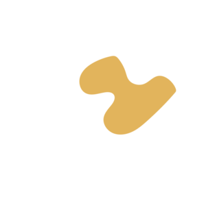 Be3fe4ed-placeholder-1770016447