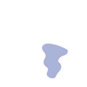 D3feb82a-placeholder-1770007152