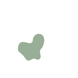 1d73d237-placeholder-1770022183