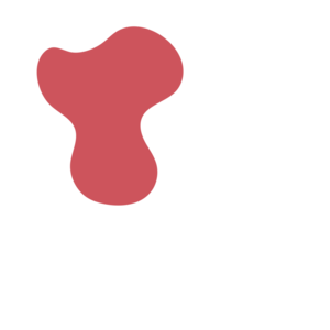 800d06cc-placeholder-1770036359