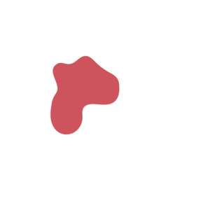 3fbe9b62-placeholder-1770022394