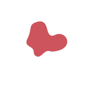 C328b631-placeholder-1770038547