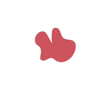 Efbc724d-placeholder-1770008122