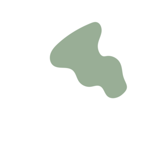 D6436551-placeholder-1770019189