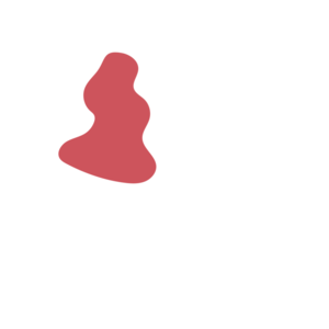 5114100d-placeholder-1770013997