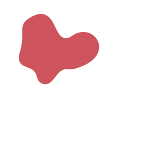 C9af4088-placeholder-1770008066