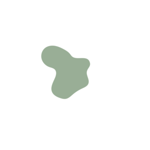 B597d2ce-placeholder-1770053470