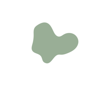 5e1ed050-placeholder-1774809883