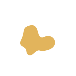 Bc1a093b-placeholder-1770018467