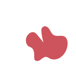 742d0474-placeholder-1770006374