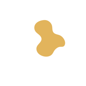 Dc25910b-placeholder-1770027147