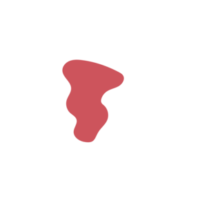 31330e41-placeholder-1769997547