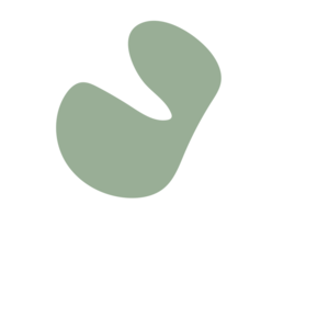 B2cac99f-placeholder-1770033689