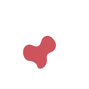 98d4a005-placeholder-1769640607