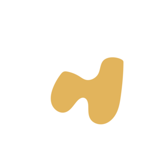 149db112-placeholder-1770016258