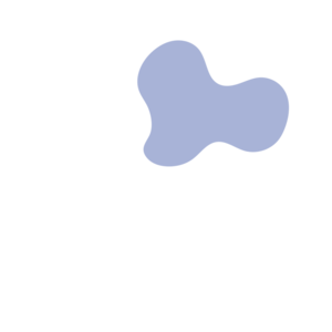 B2af65d8-placeholder-1770012588