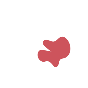 0e5023c8-placeholder-1770013979