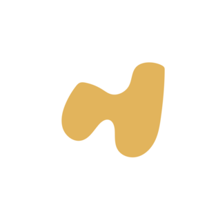 B73be463-placeholder-1770011415