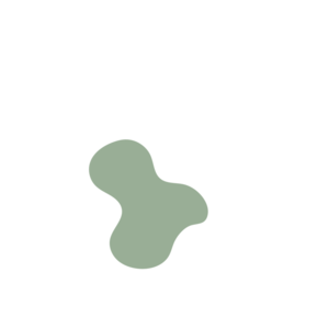 E11526bb-placeholder-1770018524