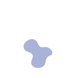 Dcf2bccc-placeholder-1769191364