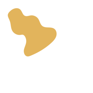 07cbbf92-placeholder-1770023676