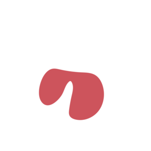 6a060012-placeholder-1770008992