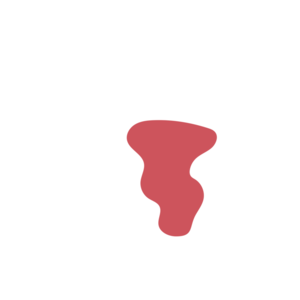 F4034b57-placeholder-1769999555