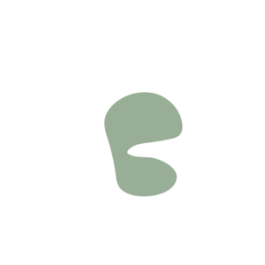 2709f518-placeholder-1770036629