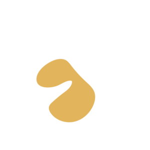 60e4207b-placeholder-1770005749