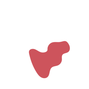 3ec3418f-placeholder-1770016256