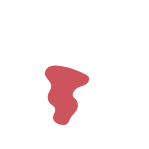 F9ac9a3a-placeholder-1770017164