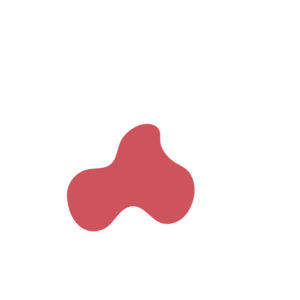 36362444-placeholder-1770011798