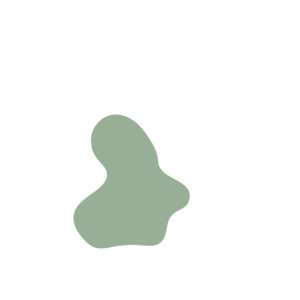 73ef4133-placeholder-1770021610