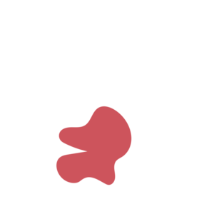 905f17fd-placeholder-1770016017