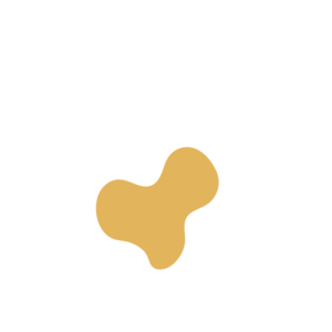 Fa44961b-placeholder-1770207190