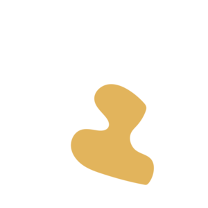 F37d7ba3-placeholder-1770016462