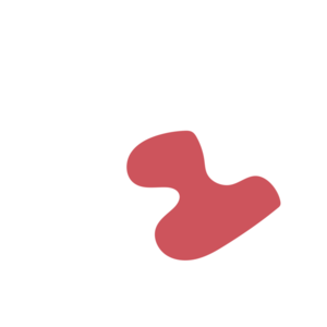 Bfc9884f-placeholder-1770052495