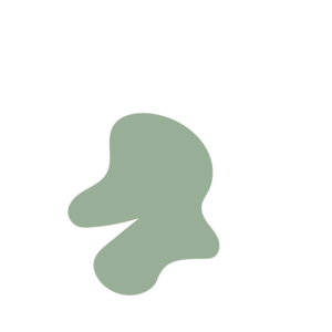 4a0aaf5f-placeholder-1770005633