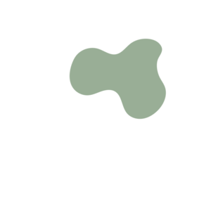 A61e3dd9-placeholder-1770053407