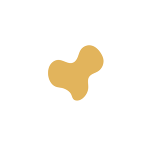 85a831f2-placeholder-1770017754