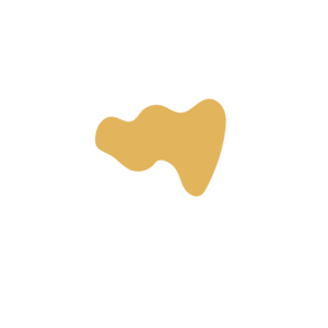 8e54c0af-placeholder-1770011583