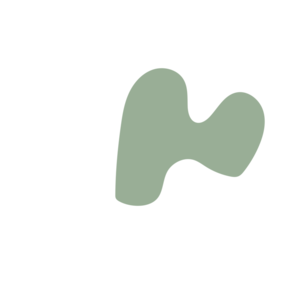 B57bec58-placeholder-1770011069