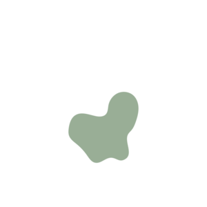 C96aa42f-placeholder-1769287208