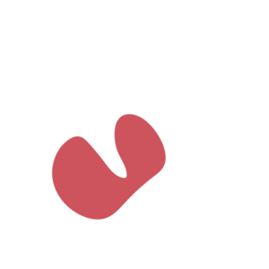 Bf99eead-placeholder-1770012590