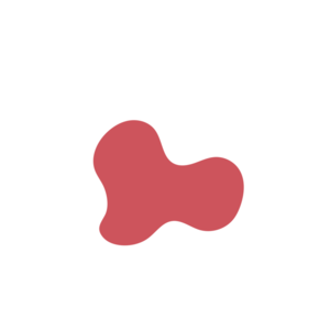 19e99f7c-placeholder-1770012554